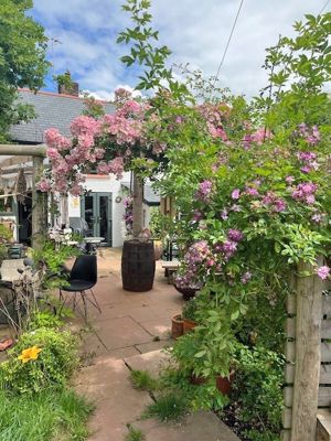 Garden in summer- click for photo gallery